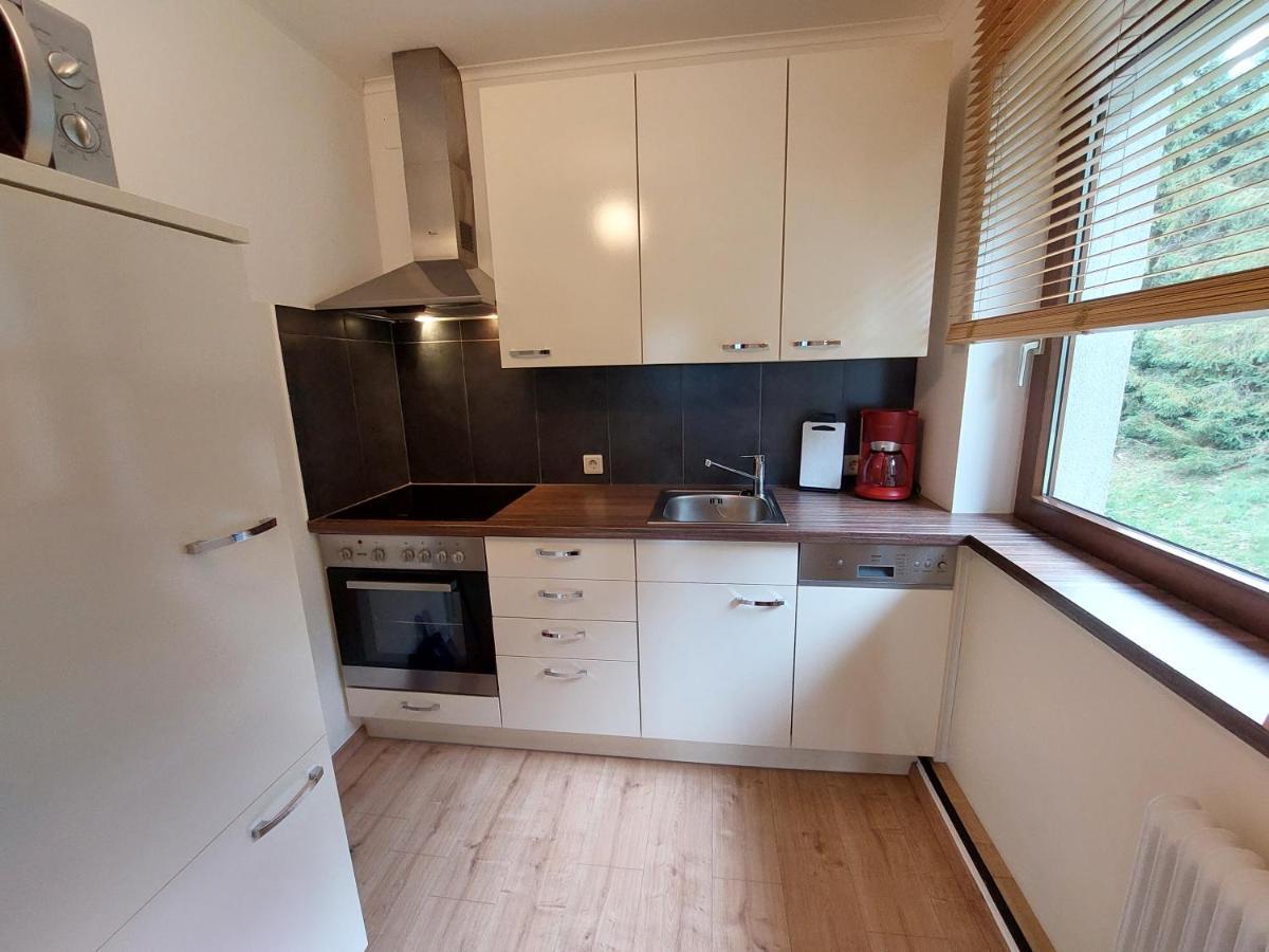 Appartements Zauchenseeblick Thunhart 阿尔滕马克特蓬高 外观 照片