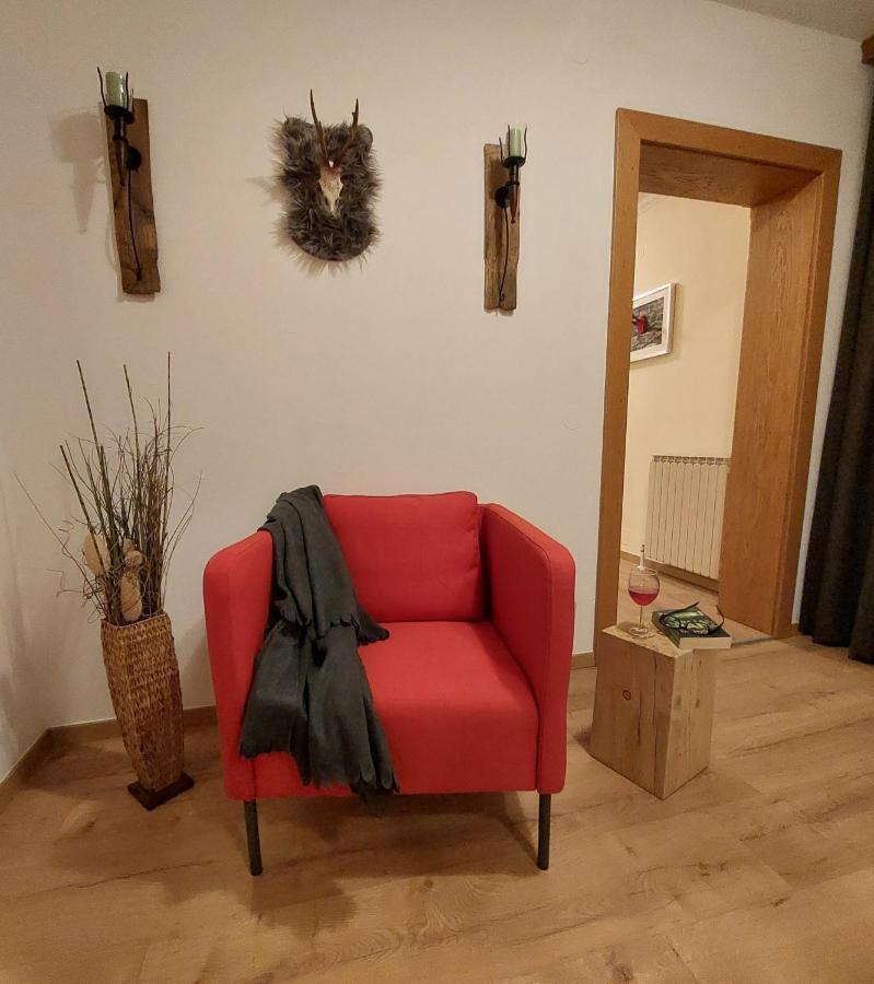 Appartements Zauchenseeblick Thunhart 阿尔滕马克特蓬高 外观 照片